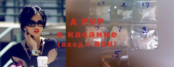 ГАЛЛЮЦИНОГЕННЫЕ ГРИБЫ Белокуриха