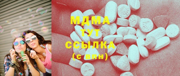 ГАЛЛЮЦИНОГЕННЫЕ ГРИБЫ Белокуриха