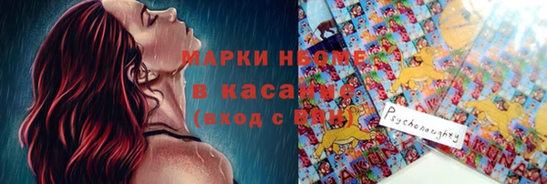 ГАЛЛЮЦИНОГЕННЫЕ ГРИБЫ Белокуриха