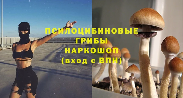 бошки Богданович