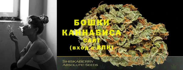 ГАЛЛЮЦИНОГЕННЫЕ ГРИБЫ Белокуриха