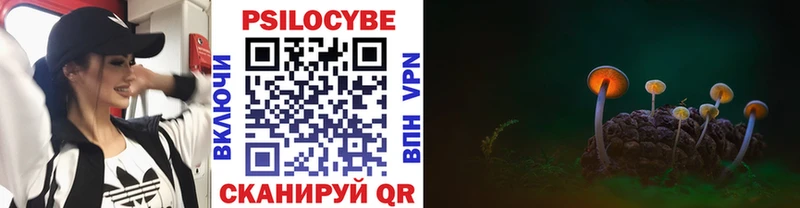 hydra ССЫЛКА  Арзамас  Галлюциногенные грибы ЛСД  где найти  